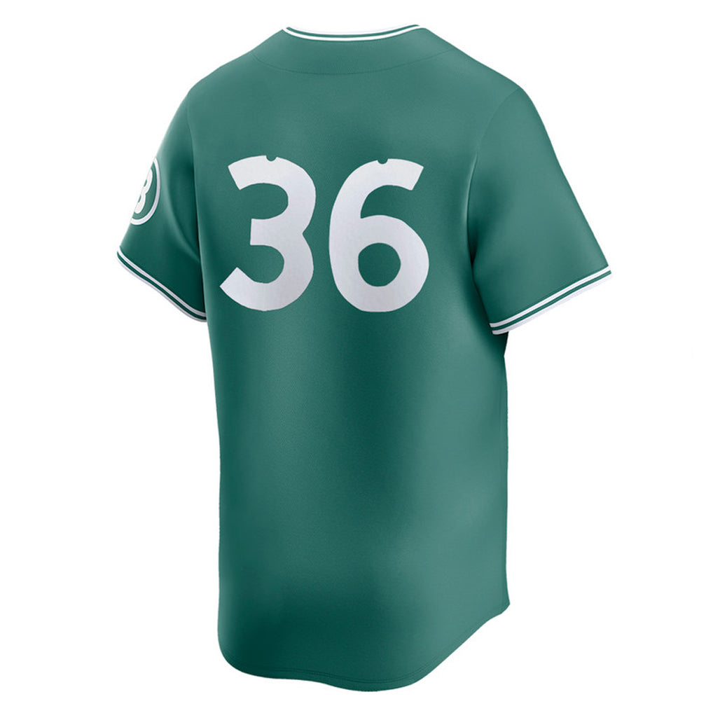 Trusc B.Red Sox #36 Triston Casas Player Green City Connect Limited Home Game Stitched Jerseys