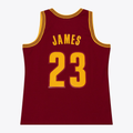 Trusc C.Cavaliers #23 LeBron James Mitchell & Ness Wine 2015-16 Swingman Jerseys