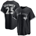 Trusc T.Blue Jays #25 Anthony Santander Player Black City Connect Limited Stitched Jerseys